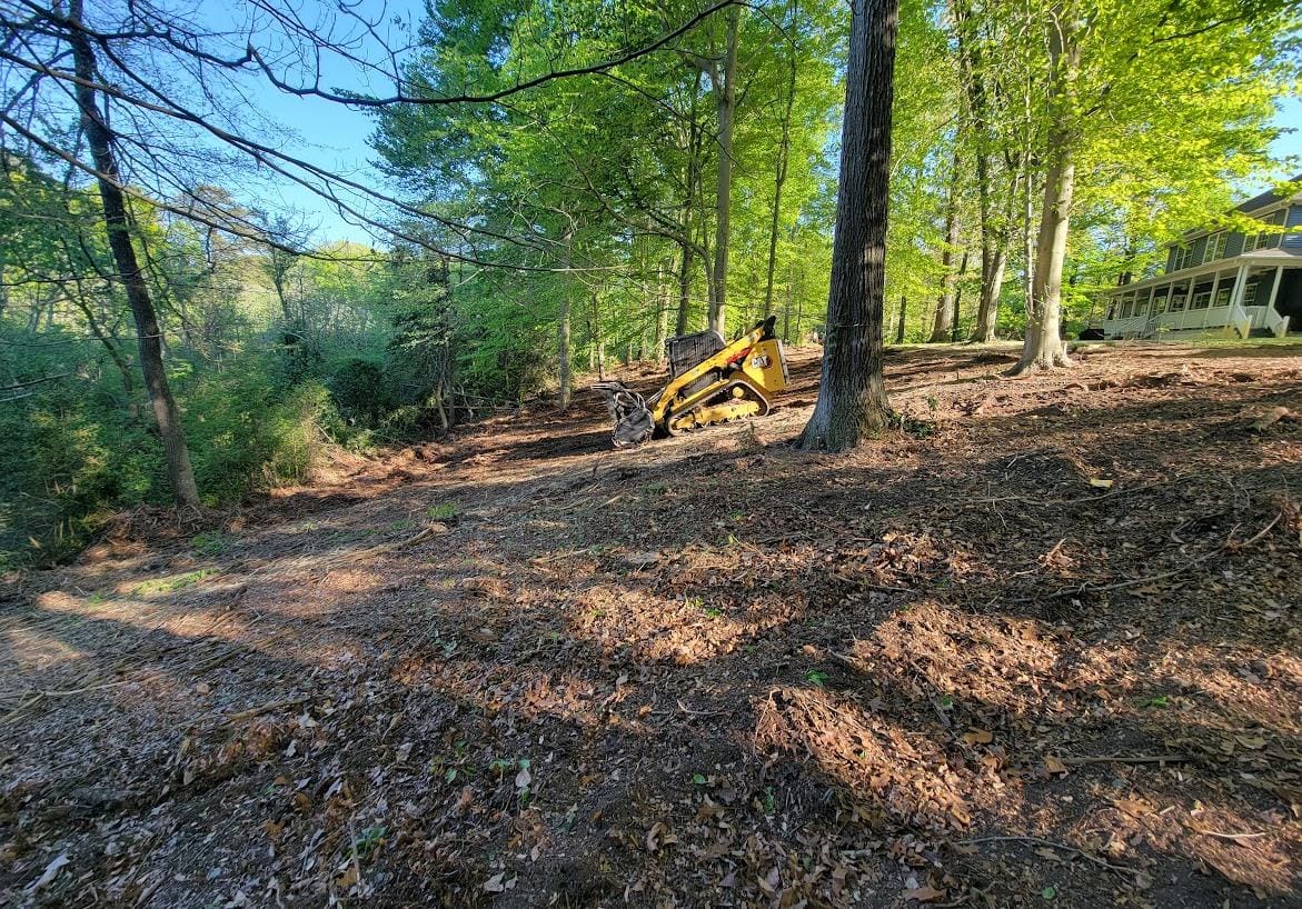 Underbrush mulched out of a wooded lot, with a compact track loader working in the back.