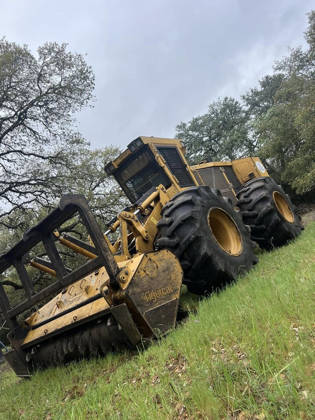 A Tigercat forestry mulcher working a grassy slope.